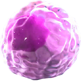 ícone Th17