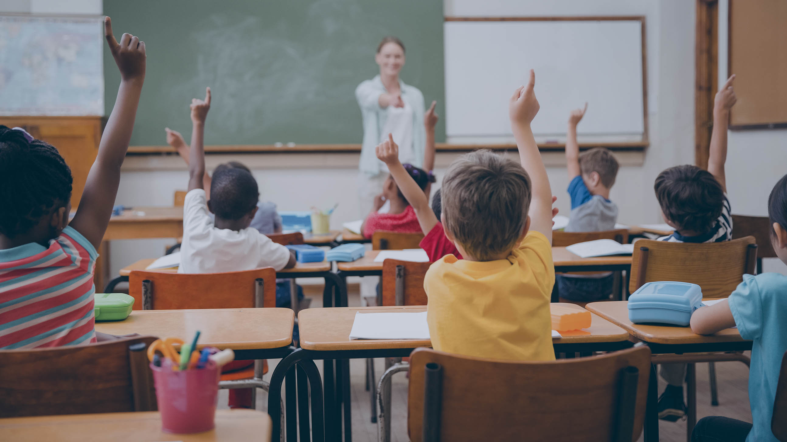 Conexão entre saúde e educação