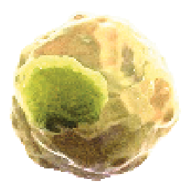 ícone Th2 cell