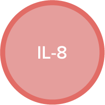 IL-8