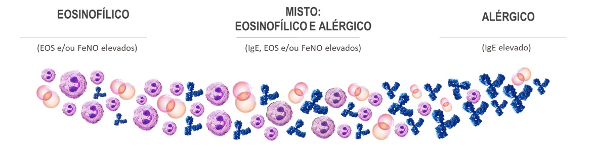 Fig2_v2