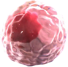 ícone Th2 cell