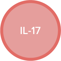 IL-17