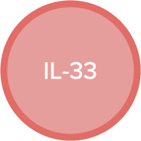 IL-33