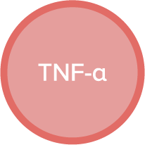TNF-a