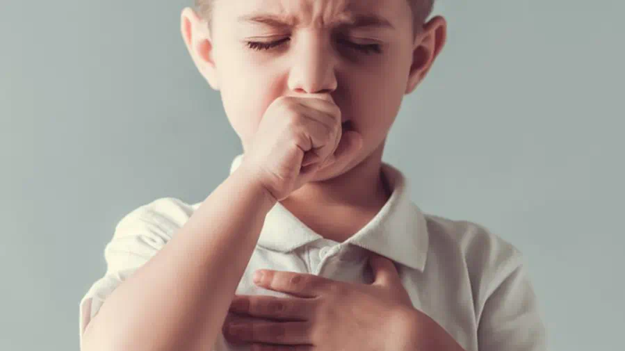 tuberculose transmissão