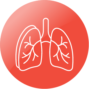 ícone crescimento e desenvolvimento pulmonar