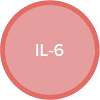 IL-6