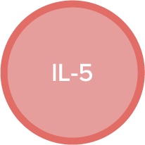IL-5