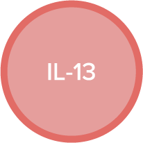 IL-13