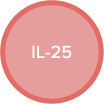 IL-25