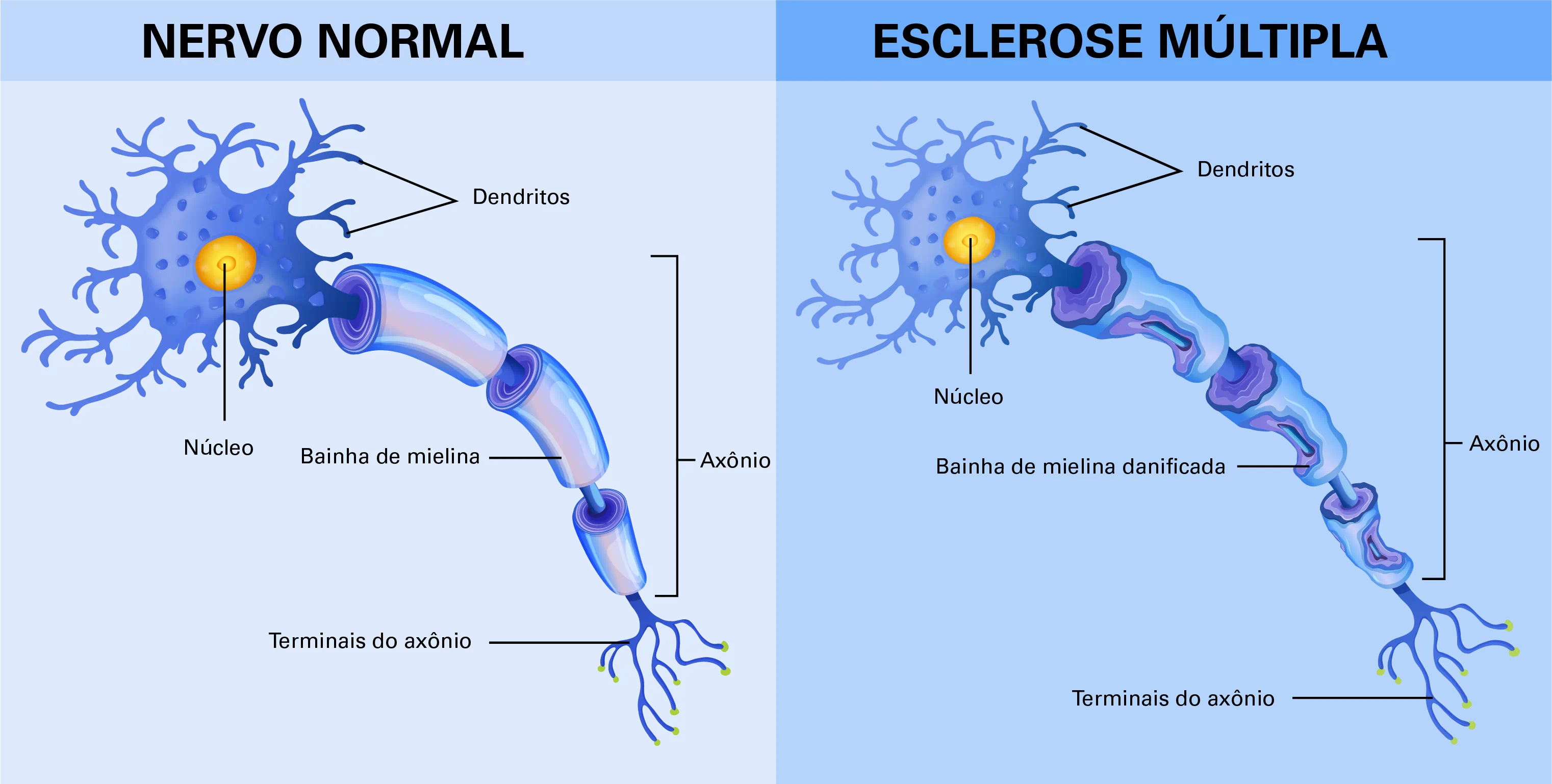 fig1-3