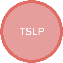 TSLP
