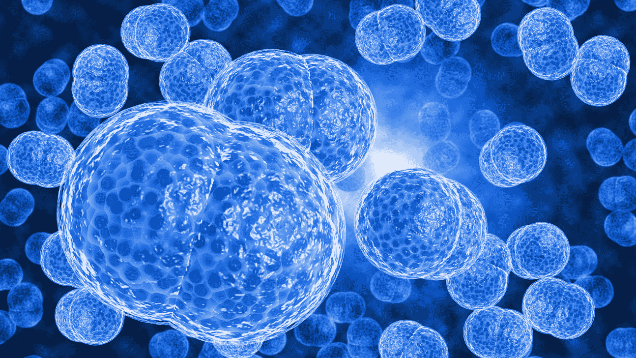 DASCM-366_artigo-hero-Legacy-Meningite2
